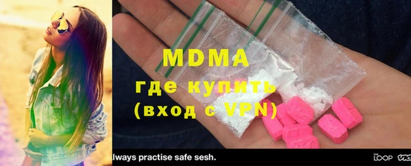 гидра Ельня