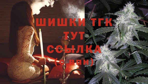 spice Заводоуковск