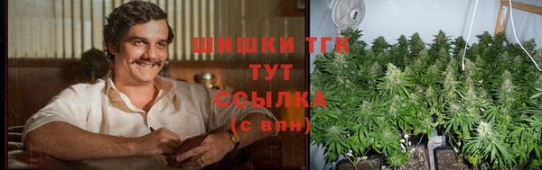 гидра Ельня