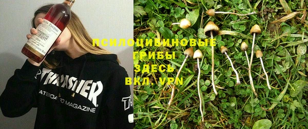 2c-b Елизово