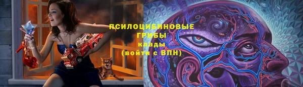 гидра Ельня