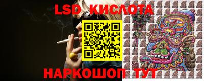 шишки Ирбит