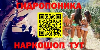 гашик Ипатово