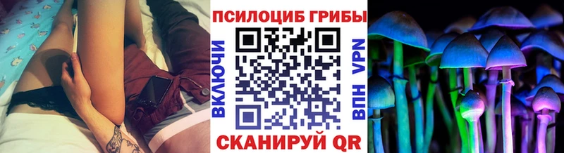 Галлюциногенные грибы прущие грибы  наркотики  Сегежа 