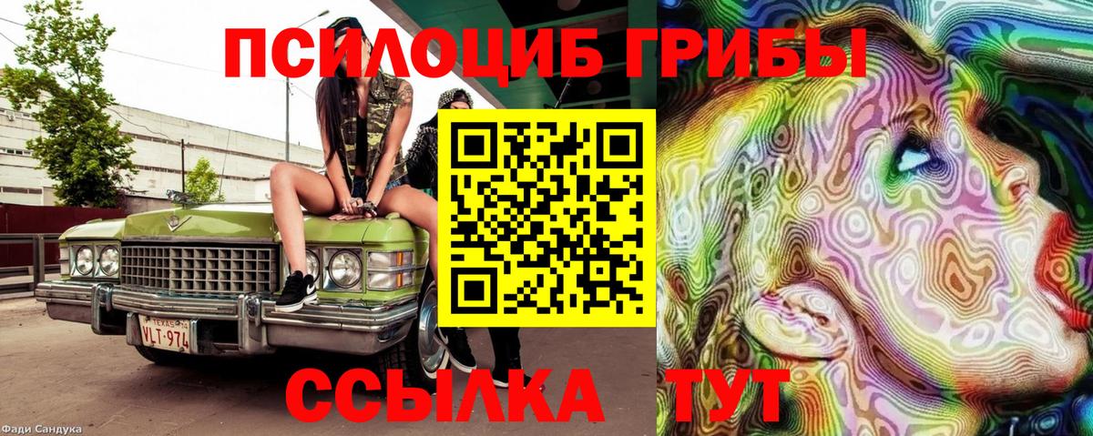 Галлюциногенные грибы прущие грибы  где продают наркотики  Сегежа  Вход с VPN 